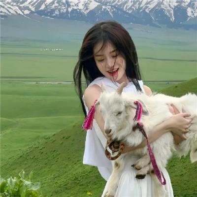 潮拜武当粤语